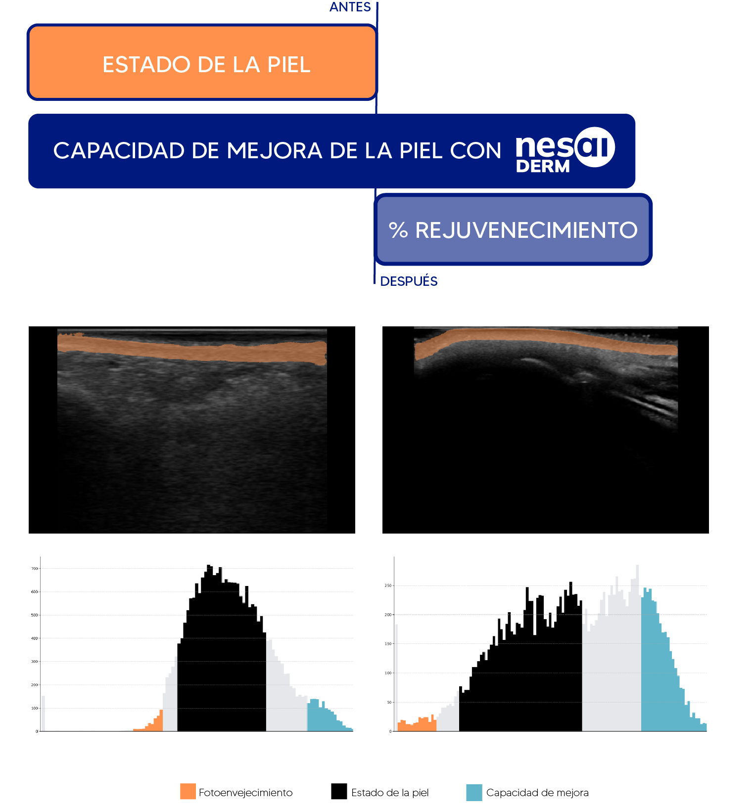 Nesai DERM right image
